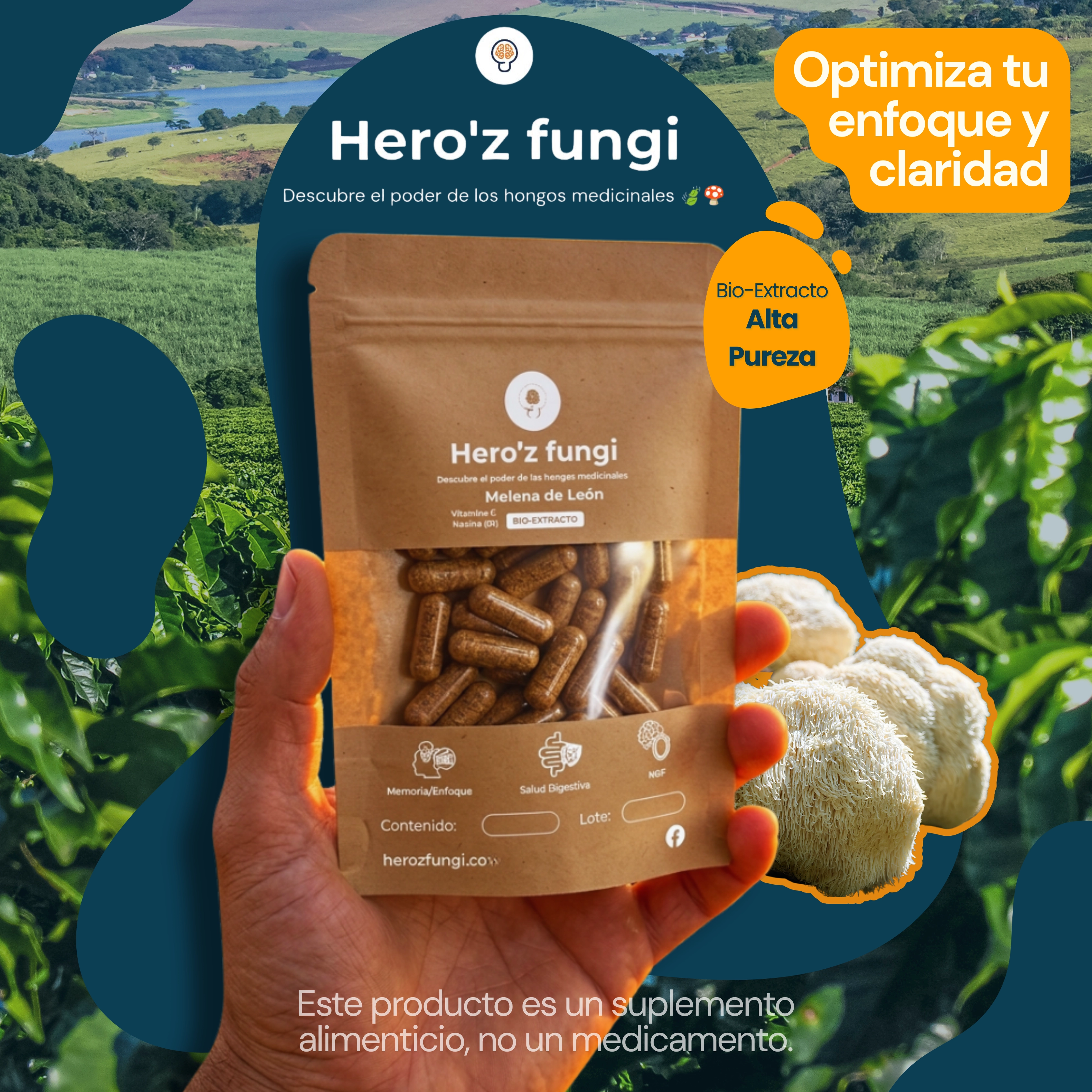 Bio-Extracto Melena de León